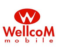 Designed and constructed the showroom Wellcom Mobile exhibition booth